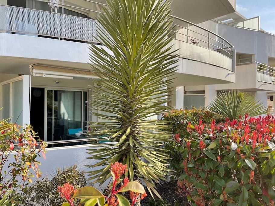 21 - Tres Agreable Rdc Avec Terrasse Et Parking Bandol Exterior foto