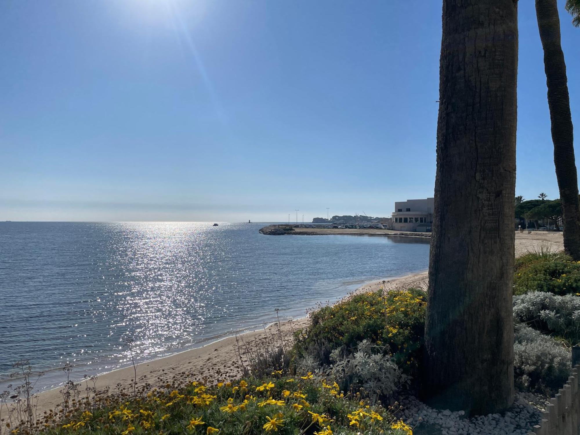 21 - Tres Agreable Rdc Avec Terrasse Et Parking Bandol Exterior foto